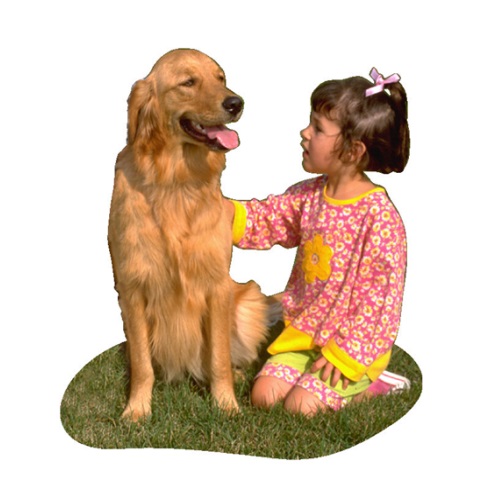 play with a dog in verbal behavior  category